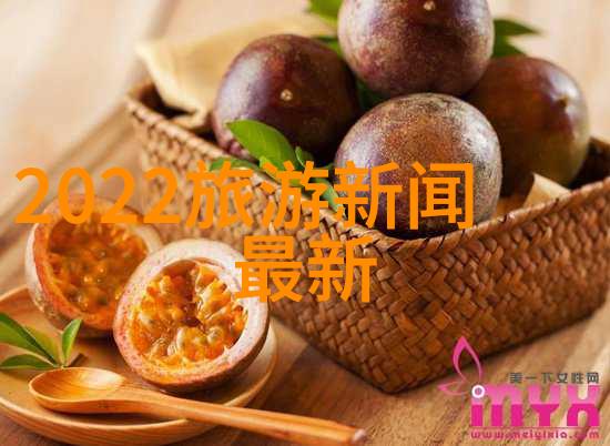 上海探秘选住品质生活区享受真正的都市魅力
