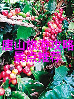成都自驾游探索四川美食与自然风光的双重乐趣