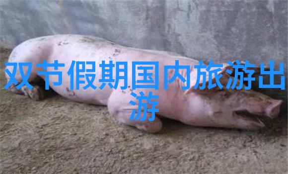 日本和中国过年有什么风俗不一样