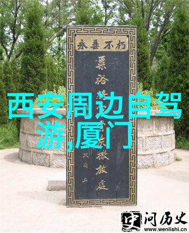 重生之政界风云权力斗争与新时代的崛起