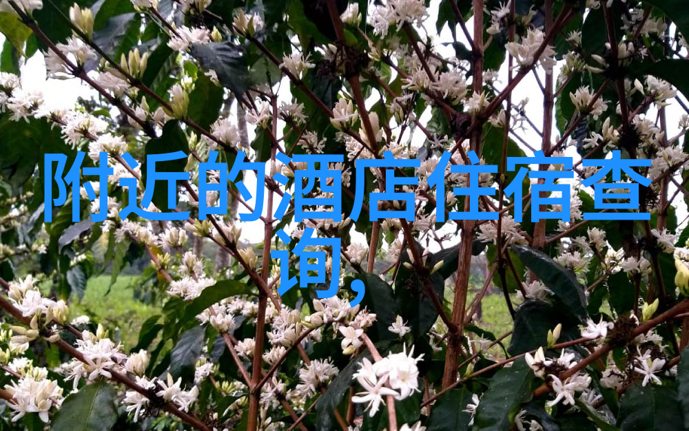桂林山水甲天下南京最美自驾探秘