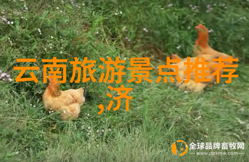 空中花园的大型水上乐园东部华夏温泉水上乐园体验