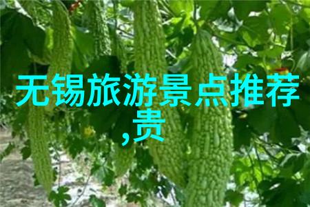 南京西湖边的故事南昌也有揭秘其它名小吃