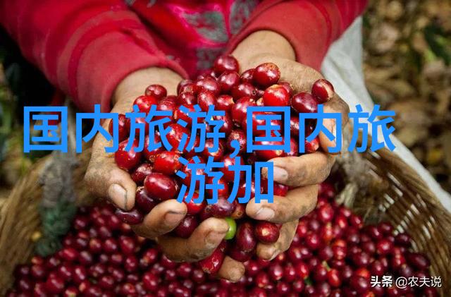逆袭登峰初二学生的山巅奇遇