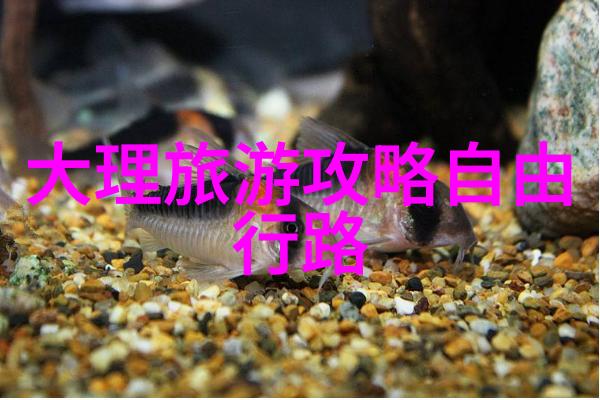 新疆之旅探索西域古城与浩瀚沙漠的魅力