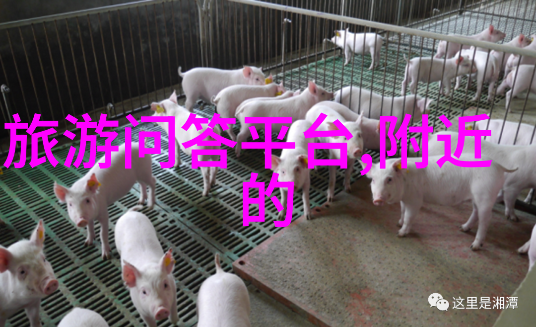 清远探秘寻宝奇迹与自然瑰宝的旅程