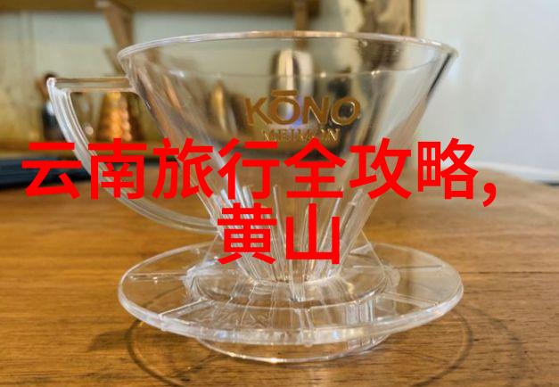 广州长隆野生动物园开启自驾游新篇章探索未知世界
