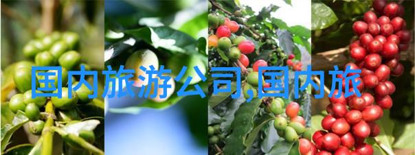 员工夏令营增强团队协作力的秘诀