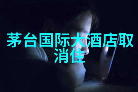 户外活动的组织与流程从策划到执行