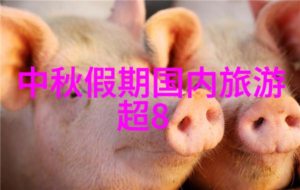 团队大作战笑声与汗水的交响乐