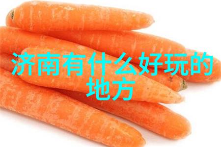 从不曾踏足的国度我的450字游记大冒险