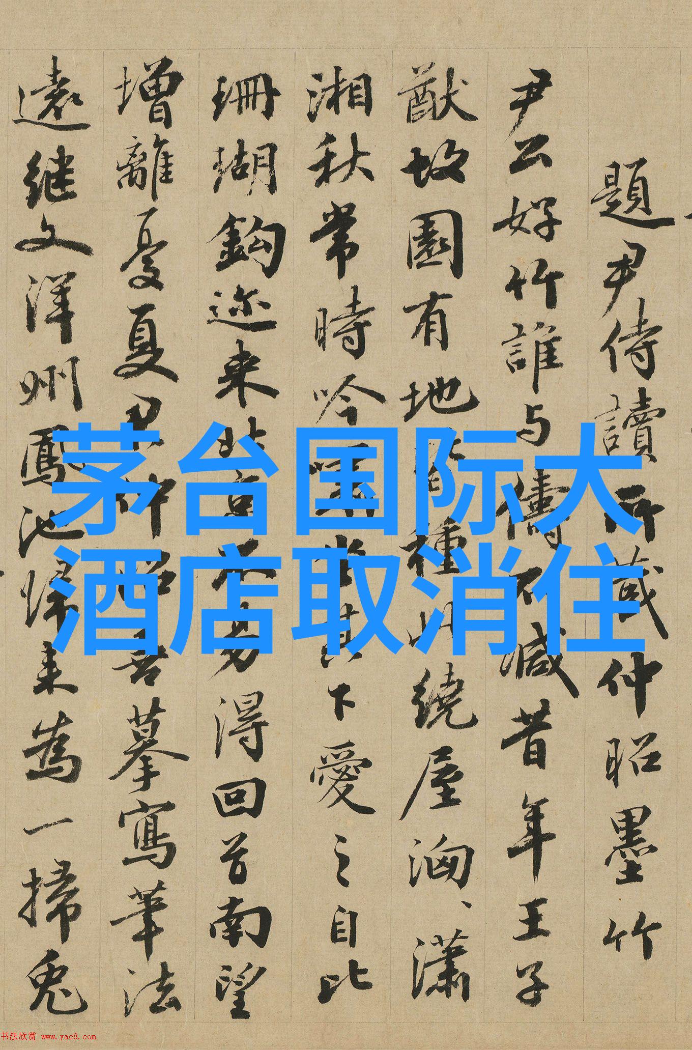 骑行网我心中的自行车小世界