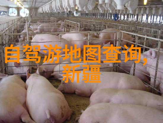 沈家门住宿攻略探秘历史街区的最佳居所