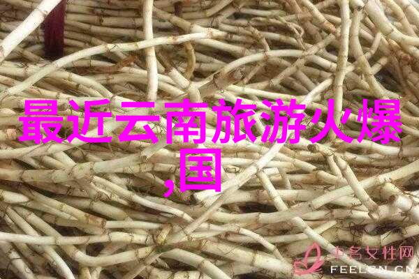 昆明美丽风光探索春城的精彩旅游攻略与必游景点大全