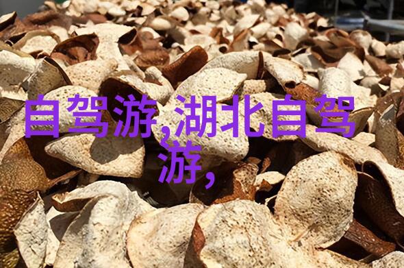 四年级游记作文400-探索童年的足迹四年级的夏日冒险