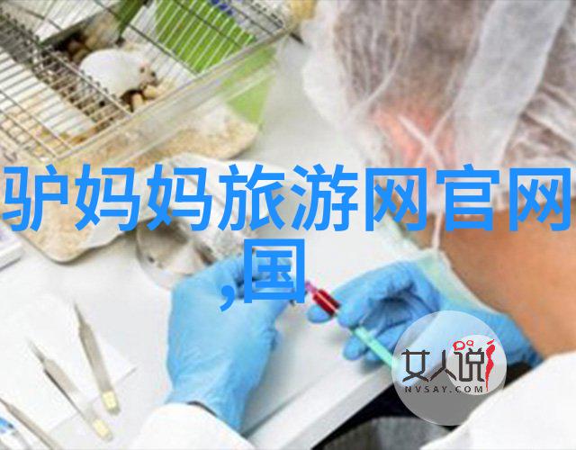 山东三日游必看揭秘青岛济南齐鲁风情
