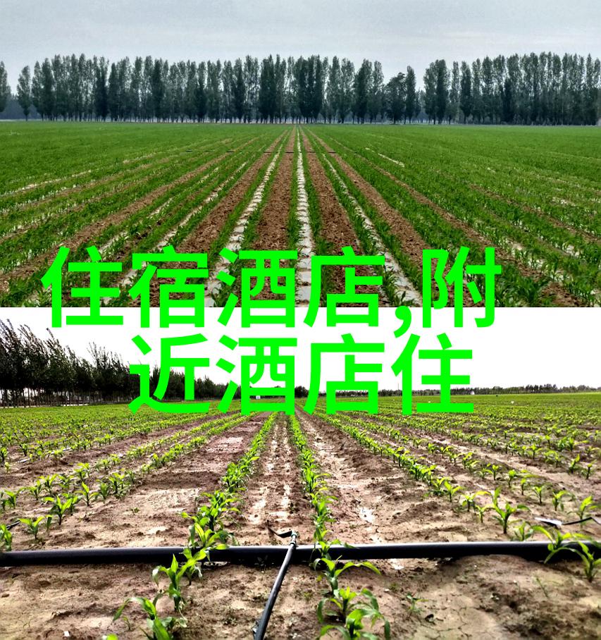 反复探寻上海十大夜市小吃街嘉兴美食之谜又将如何揭晓