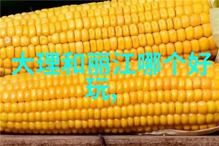 月落归林萝卜药丸的诗意探索