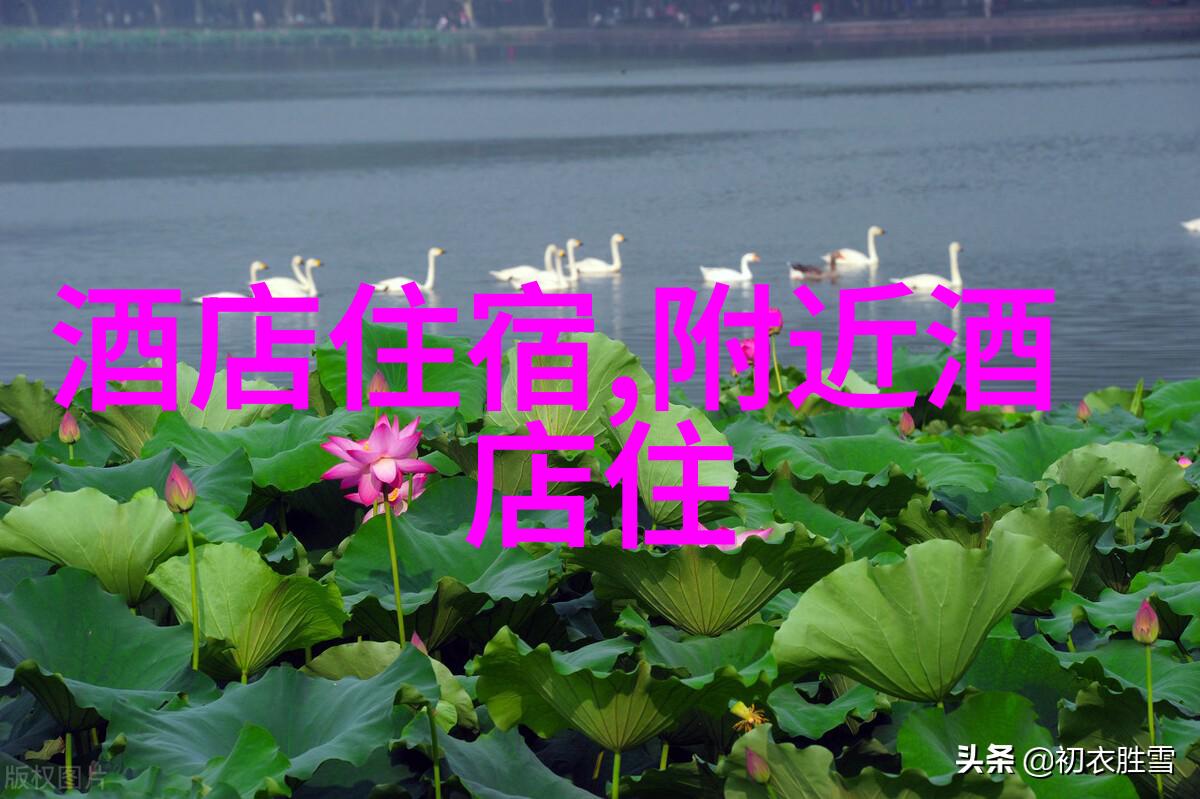 在上海迪士尼附近住宿哪家酒店好推荐你一试