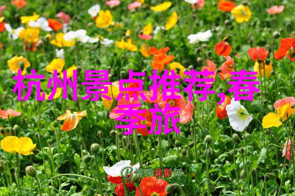 云南探秘揭秘云贵高原的奇迹之地