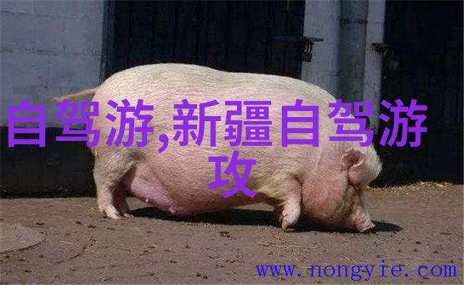 中国旅游集团校园招聘2021我要去追梦的路上找你