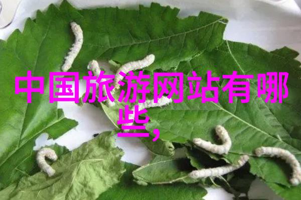 设计一条主题旅游线路我的梦幻乡村之旅追逐田野的歌唱