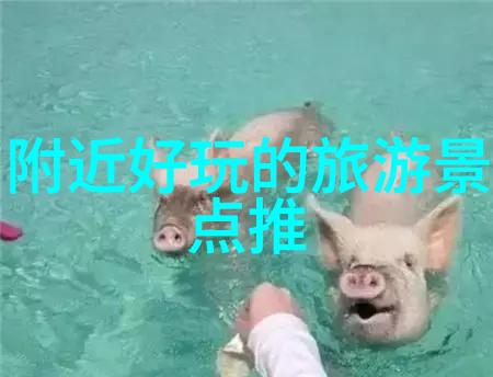 云南之冠探索大理的魅力