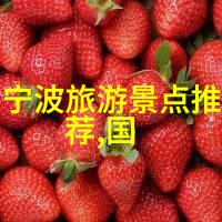 骑行女神自行车的魅力与健康益处