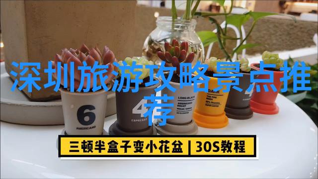 奇迹6608揭秘一个数字的奥秘