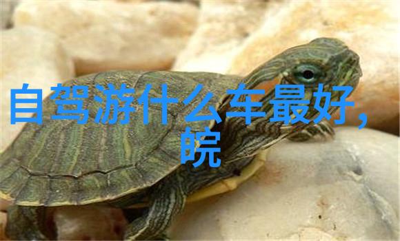 云南自驾游我在云南的那些天追逐梦想绘制记忆