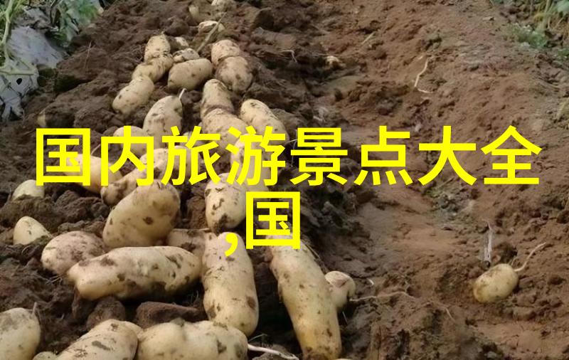 春日游探寻美丽中国的四季变换