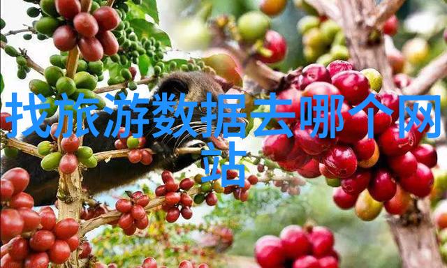 中国十大小吃街咱们来一场味蕾的旅行