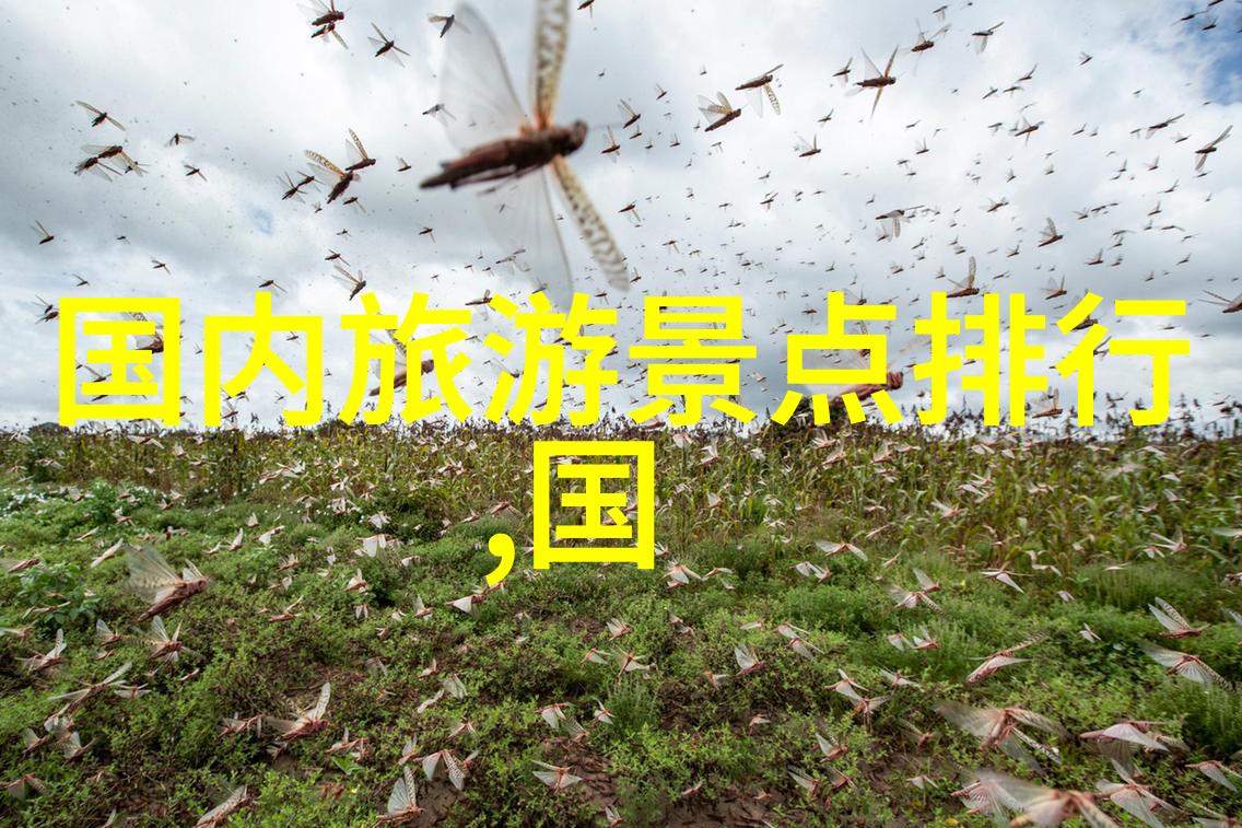 滑雪场比游戏还要好玩吗金象山滑雪场2022开放时间来袭