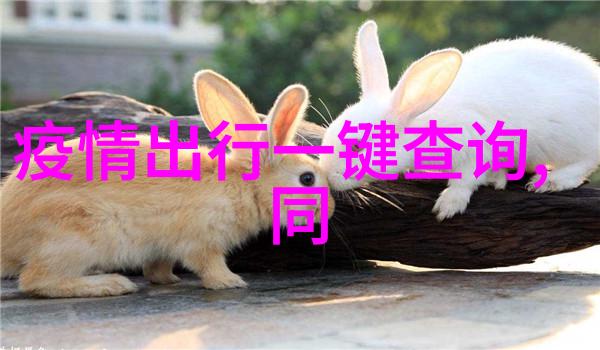 欧洲中最美丽的旅游城市是哪一个