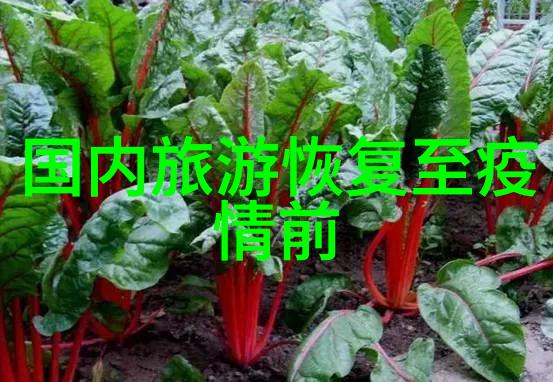 骑行健身风驰电光的乐趣与关注安全的必要