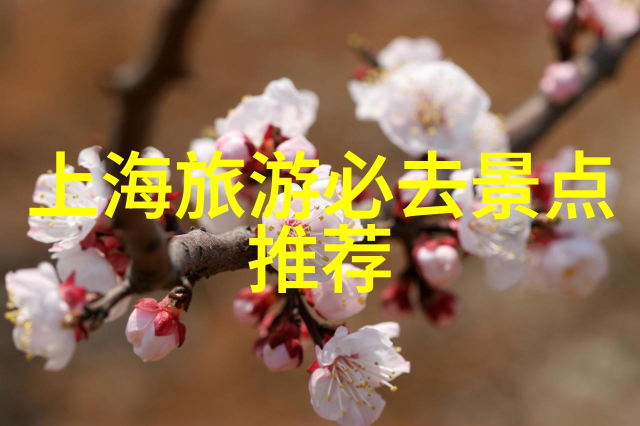 贵州旅游特色及旅游线路来到贵州你得尝一口美味的黔东南螺蛳粉