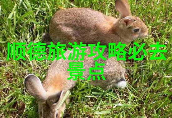 古北水镇的迷人风光有哪些