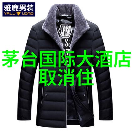 探索中国古典美的瑰宝西安古城游记