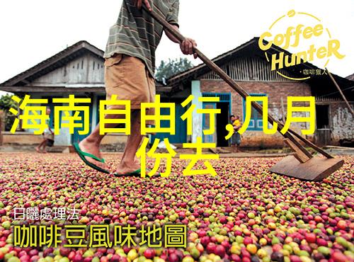 小学生户外探险日森林之旅