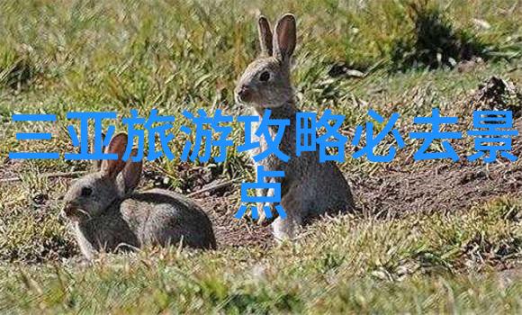 旅游路线我带你去发现那些隐藏在城市角落的美丽秘境