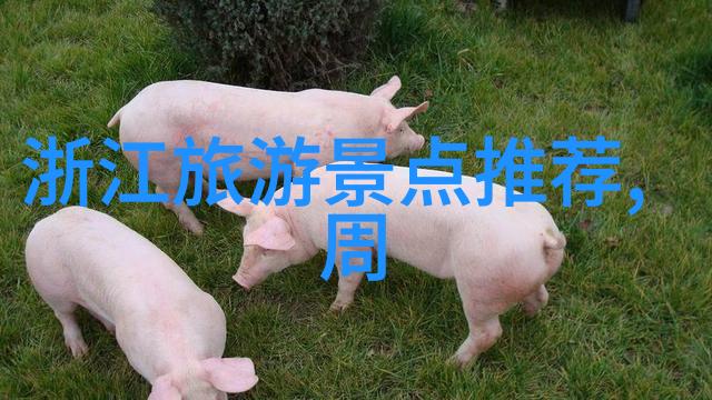 大理旅游攻略-探秘苍山碧水的古城魅力