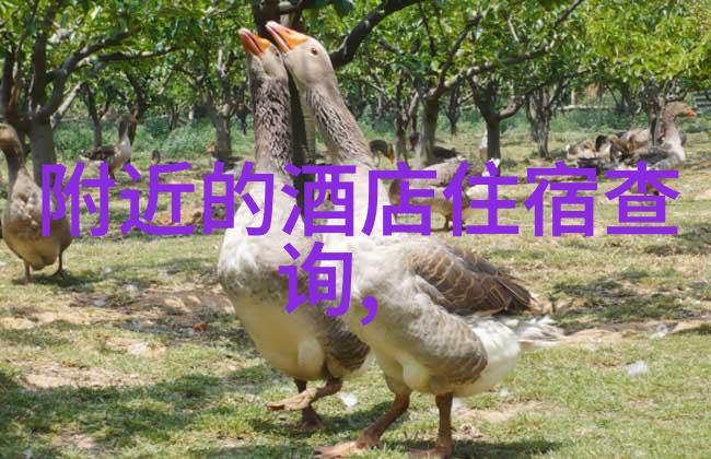 末日重生种田去生存挑战复兴希望