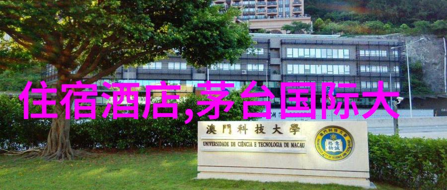 春日游乐园大班儿童的户外探险之旅