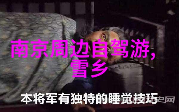童趣甜点小学生的巧克力蛋糕DIY之旅