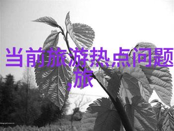 敦煌旅游攻略 - 征服沙漠之冠探秘莫高窟与月牙泉的美妙旅程