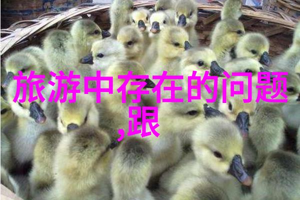黄果树大瀑布自然奇迹的壮观绽放