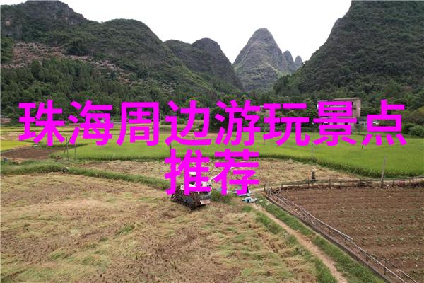 两轮与双足的较量骑行还是奔跑