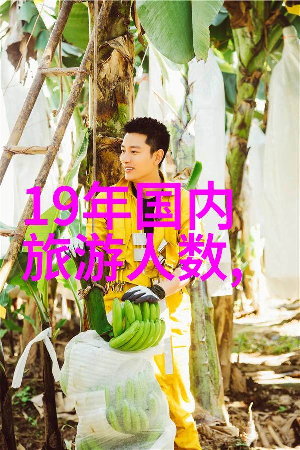 巴黎圣母院为何成为法国乃至欧洲的心脏建筑