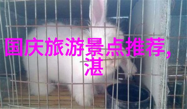 公认最好省力自行车我为什么选这辆神器自行车