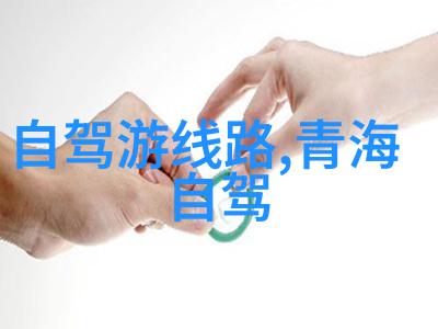 整篇都是车的多肉1V1我和我的对手一场激烈的养护大赛